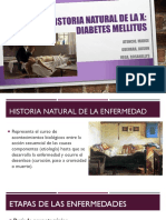 Historia Natural de La Enfermedad (Diabetes Mellitus)