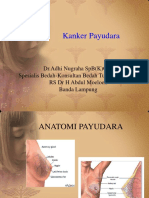 Kanker Payudara2