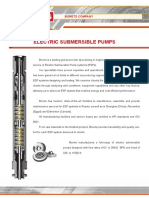 BORETS, Electric Submersible Pumps PDF