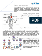 ÓRGÃOS e TECIDOS LINFOIDES PDF