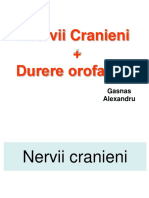 2.-Durerea-orofaciala.-Nervii-cranieni-Gasnas-A. (1).pptx