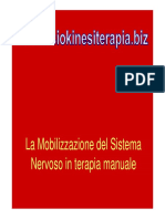 mobilizsnp.pdf