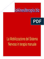 Mobilizsnp PDF