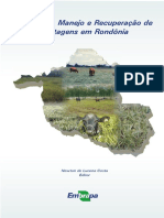 recuperaao_de_paetagens.pdf