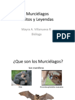 Murciélagos Mitos y Leyendas!