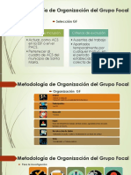Metodología de Organización Del Grupo Focal