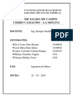 MINERALOGIA-INFORME-CERRO-CAMACHO-UNMSM.docx