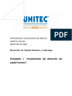 Desarrollo del capital humano en organizaciones