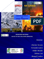 Desastres Naturais-Vers o PDF Set 2011