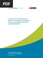 EVLUACION EXTERNA SINEACE