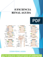 Acute Kidney Injury