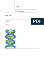 The Structure of DNA: Thymine, T Adenine, A Guanine, G Cytosine, C