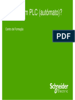 plc_cfp2008.pdf