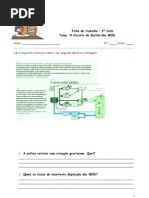 Trabalho Acção 2010