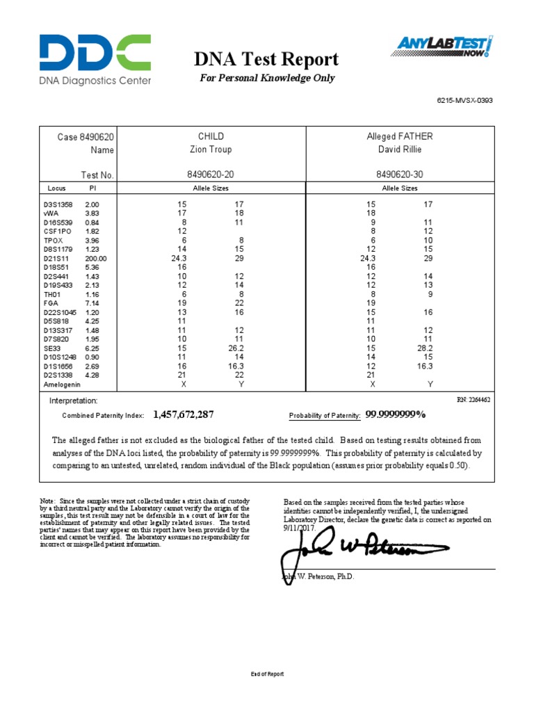David Rillie Paternity Test | PDF | Genetics | Biology