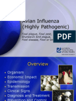 Avian Influenza (Highly Pathogenic) : Fowl Plague, Fowl Pest, Brunswick Bird Plague, Fowl Disease, Fowl or Bird Grippe