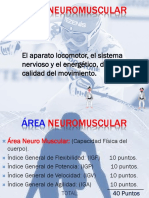 2 Área Neuromuscular