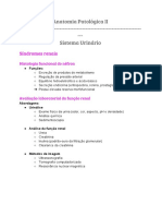 Anatomia Patológica - Sistema Urinário