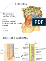 Hernias 2016