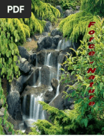 Pesticide Biotransformation And Disposition Introduction To - 