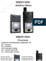 Ibrid MX6