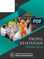 Profil Kesehatan Surabaya 2016