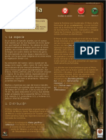 Mono Araña PDF