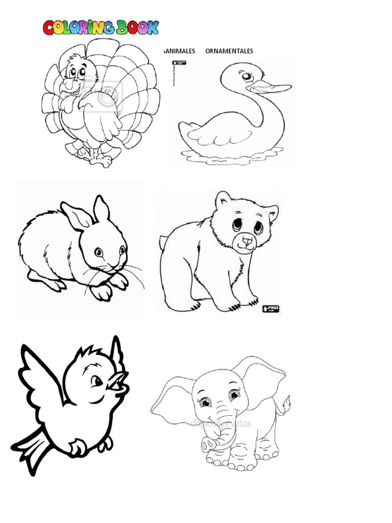 Animales Aereos para Colorear | PDF