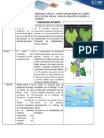 Aporte Pregunta Orientadora