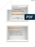 510_aula_3_cultura_organizacional.pdf