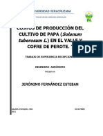 Costos de Produccion Del Cultivo de Papas PDF