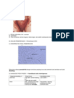 Candidiasis Intertiginosa