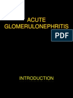 Acute Glomerulonephritis