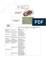 Structura Unei Bacterii Gram Pozitive