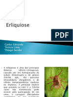 Erliquiose.pptx