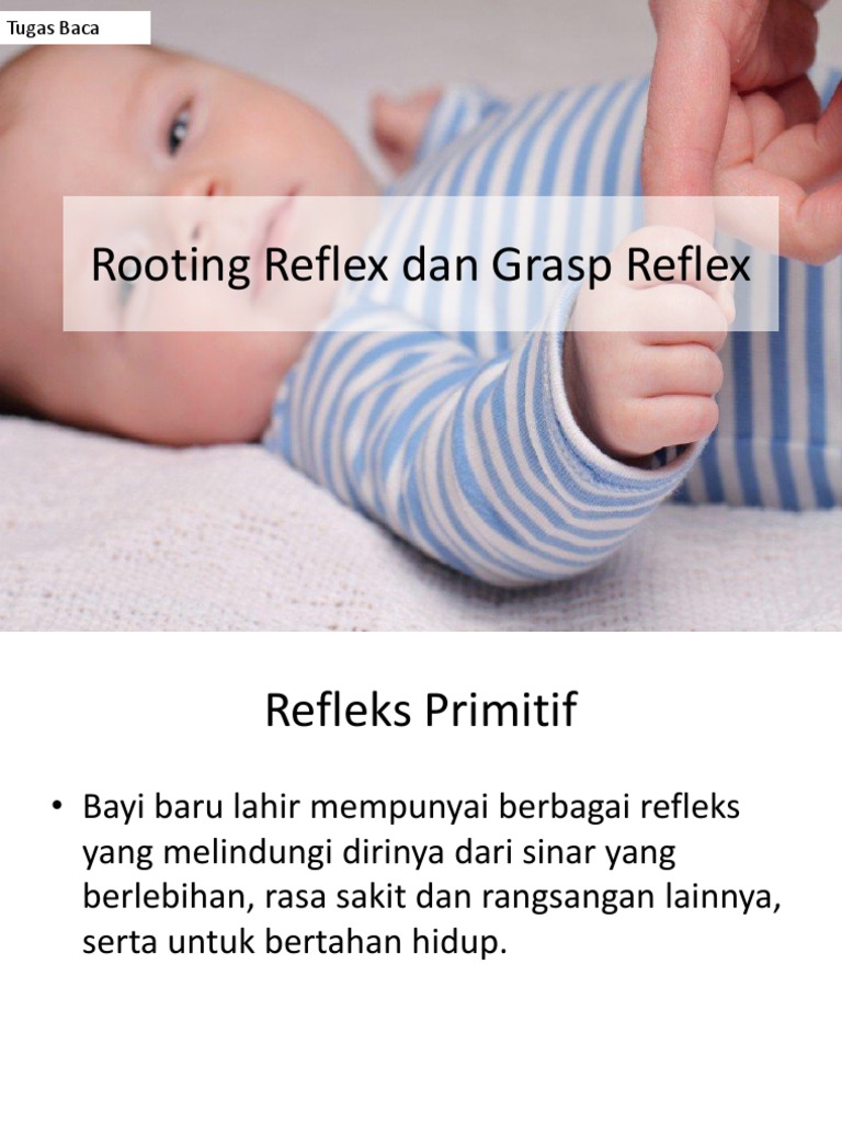 Rooting Reflex Dan Grasp Reflex | PDF