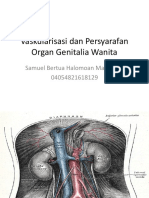 Vaskularisasi Dan Persyarafan Organ Genitalia Wanita - Samuel Manurung