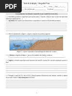 Teste Geo 9º Ano Pescas