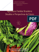 1- Agricultura Familiar Brasileira Desafios e Perspectivas do Futuro.pdf