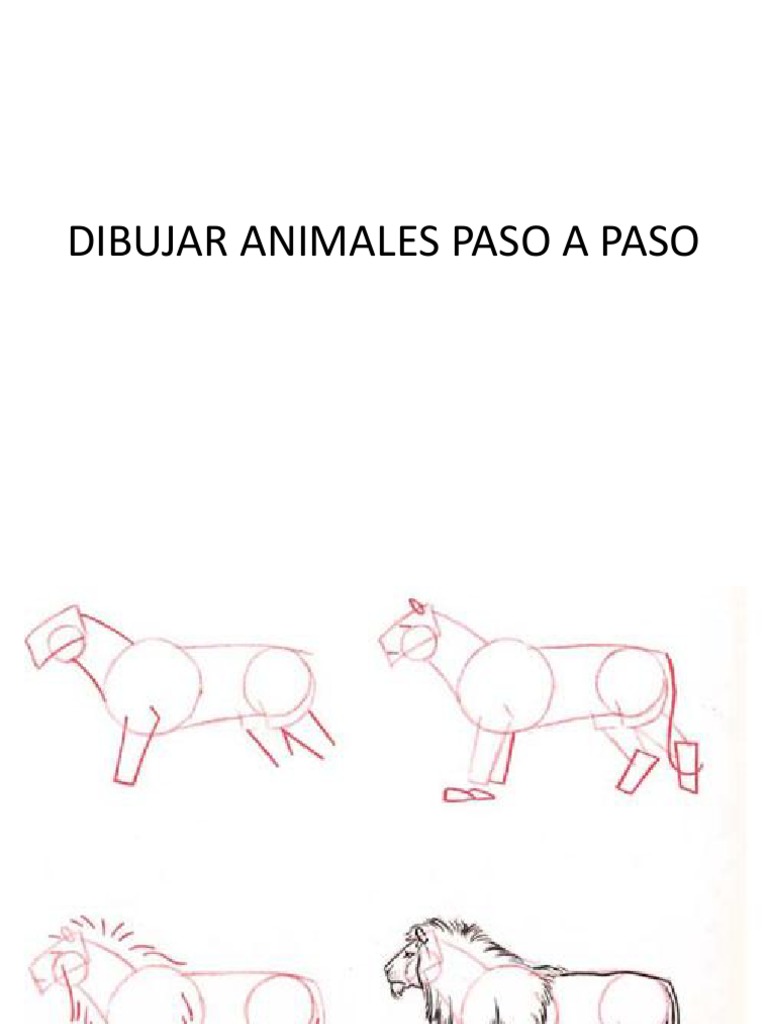 Dibujar Animales Paso A Paso PDF | PDF