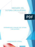 Enfermedades Del Sistema Circulatorio