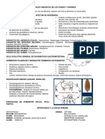 Principales parásitos de ovinos y caprinos