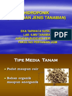 Media Dan Jenis Tanaman Hidroponik