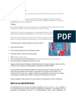 Enfermedades Del Sistema Digestivo