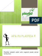 Plastid A