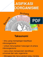 Materi Kuliah Klasifikasi Mikroorganisme