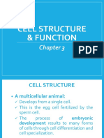 NatSci2 Chapter 3