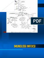 Imunologi Infeksi