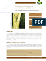 386 1666 1 PB PDF