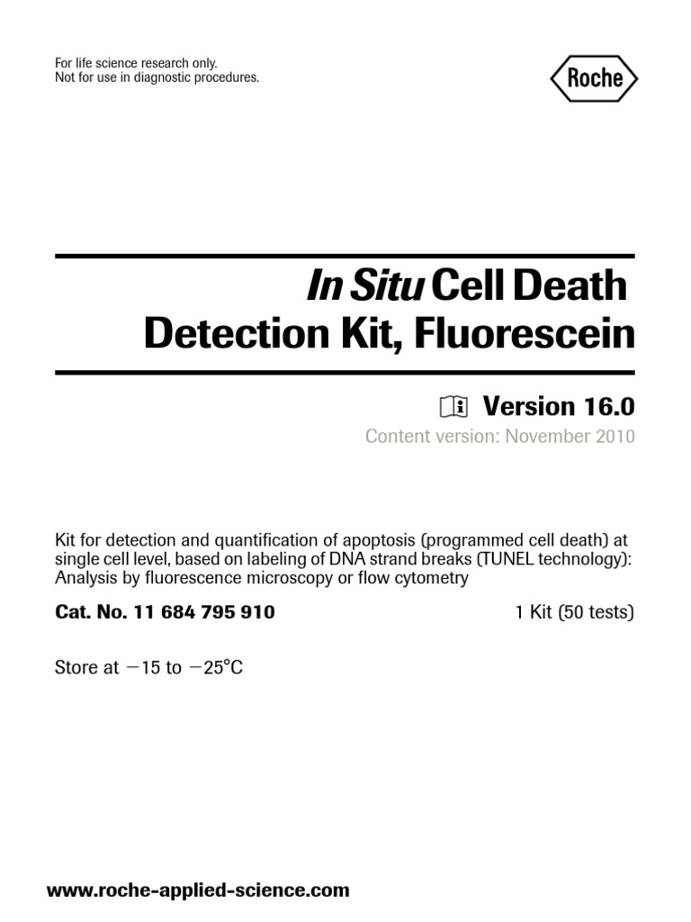 Tunel Assay Roche PDF Fixation (Histology) Apoptosis
